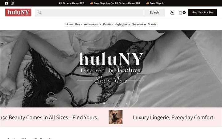 Screenshot of the huluNY website built by CELLTOB